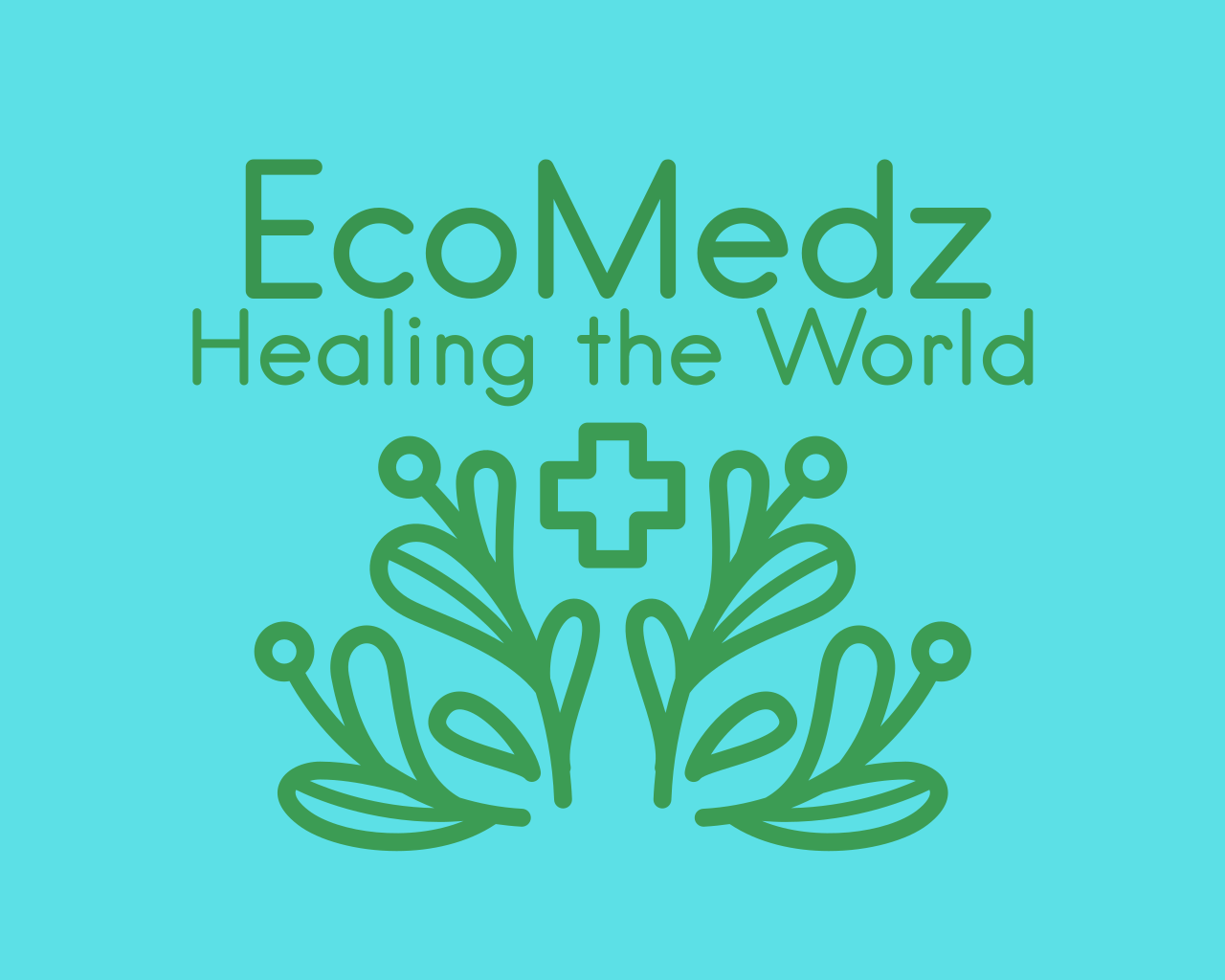 EcoMedz Logo